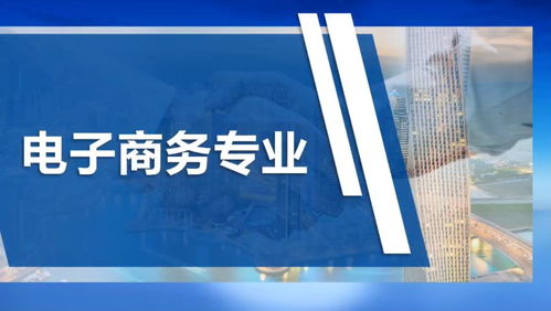电子商务专业技能叙述
