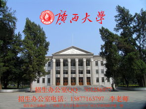 自考大专电子商务专业课