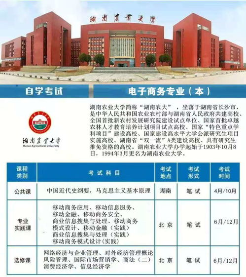 专转本有电子商务专业吗