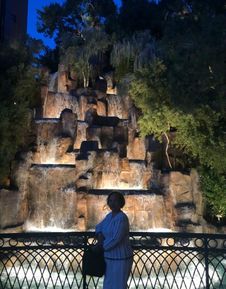 洪崖洞景区女子强拉游客拍照遭处罚事件分析